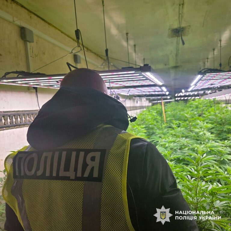 На Черкащині викрили промислову наркоплантацію з сонячними панелями
