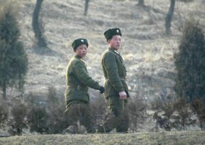 Названо втрати Північної Кореї у війні проти України