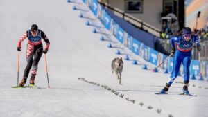 Собака став учасником жіночого кросу на Олімпіаді
