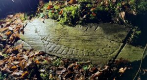 У Норвегії знайшли 3000-річні наскельні різьблення доби бронзи