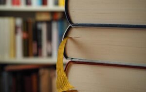 В Україні заблокували інтернет-магазин за продаж російських книжок