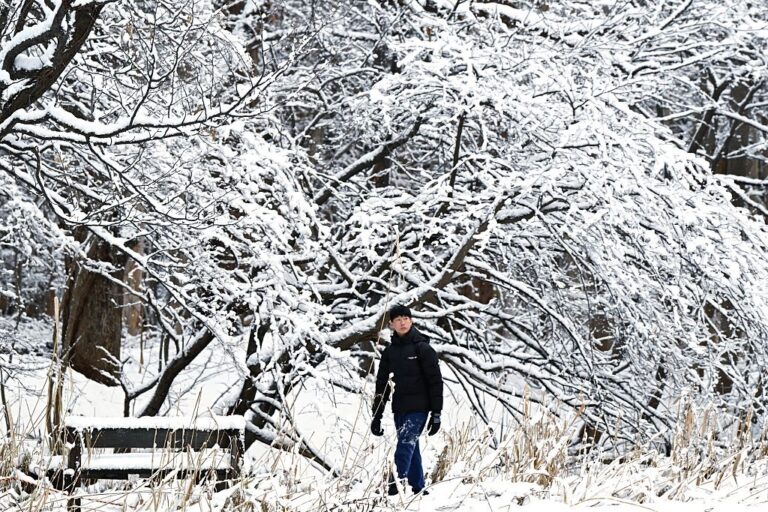 В Японії через снігопади загинули 35 людей