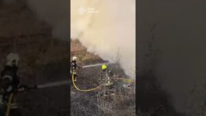 Сумщина. ПЕКЛО на дорозі: атака на вантажівку