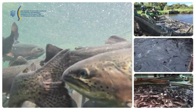 ❗️Аквакультура – один з елементів продовольчої безпеки держави