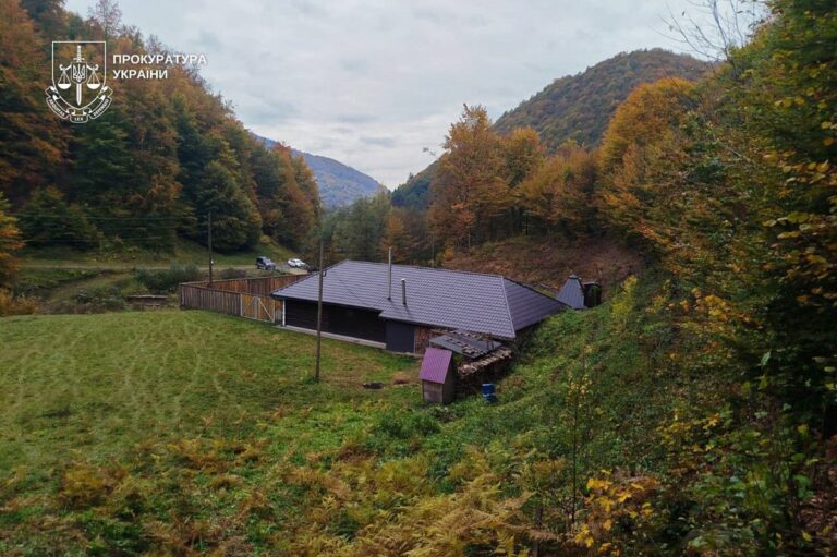 Лісничий з Закарпаття збудував маєток на самовільно захопленій ділянці