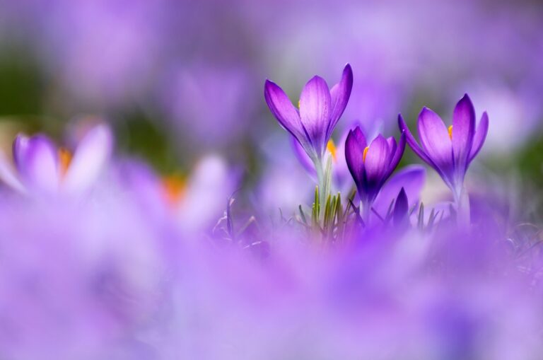 Незначне потепління, місцями дощитиме: погода у вихідні