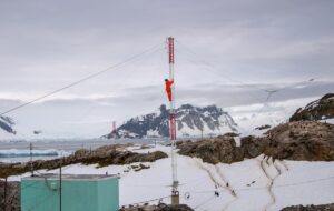 Пінгвіни, птахи і тюлень: українські полярники перемогли у фотоконкурсі