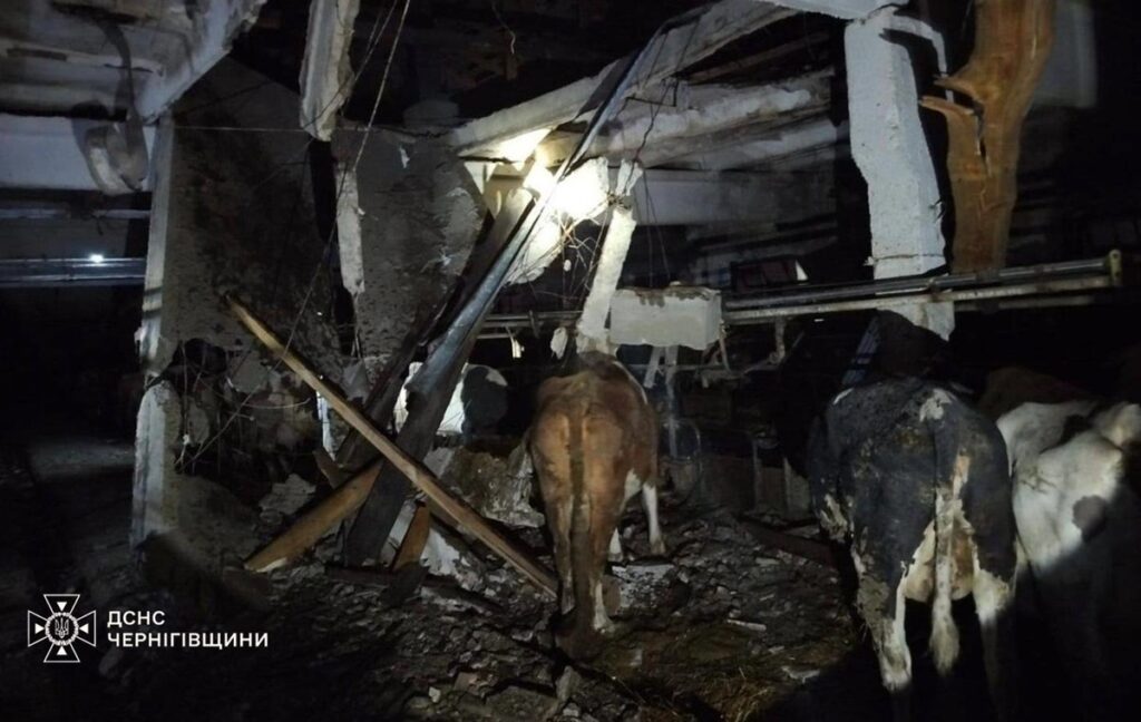 РФ атакувала сільгосппідприємство на Чернігівщині