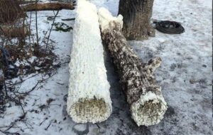 Солдати РФ почали ховати антени у муляжі стовбурів