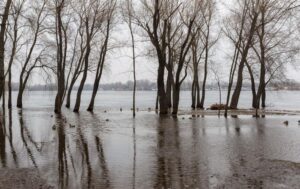 Уряд прогнозує в Україні активні весняні повені