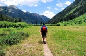 Весняна магія мандрів