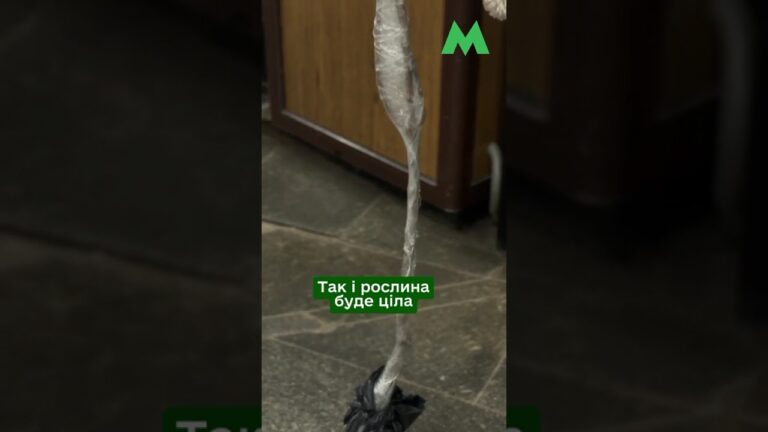 Як перевозити саджанці у столичному метро: правила