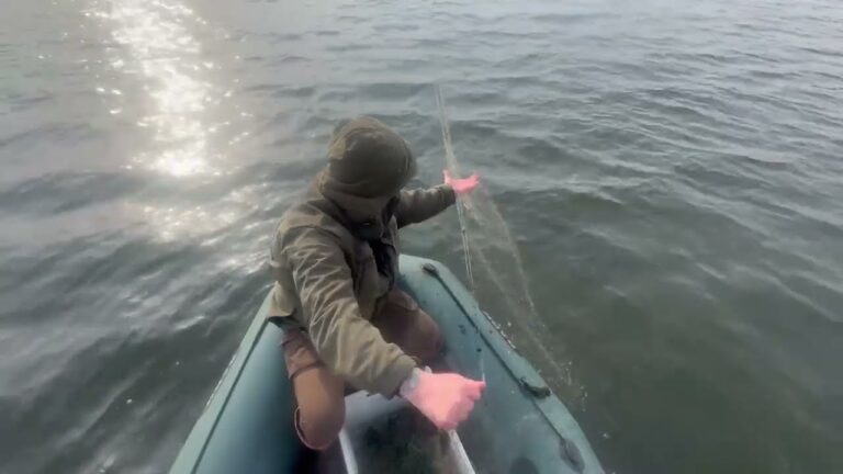 ❗️ На водоймах Рівненщини розпочалася нерестова заборона