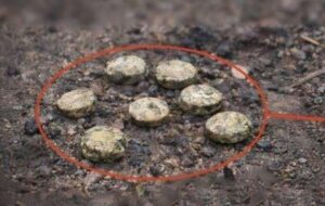 Росіяни дистанційно замінували школу у Херсоні