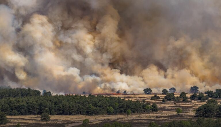 В Нідерландах розгорілася пожежа на військовому полігоні