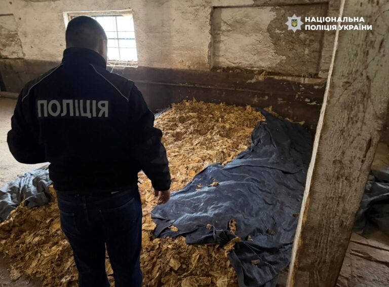 Викрито схему повного циклу виробництва нелегального тютюну на Закарпатті