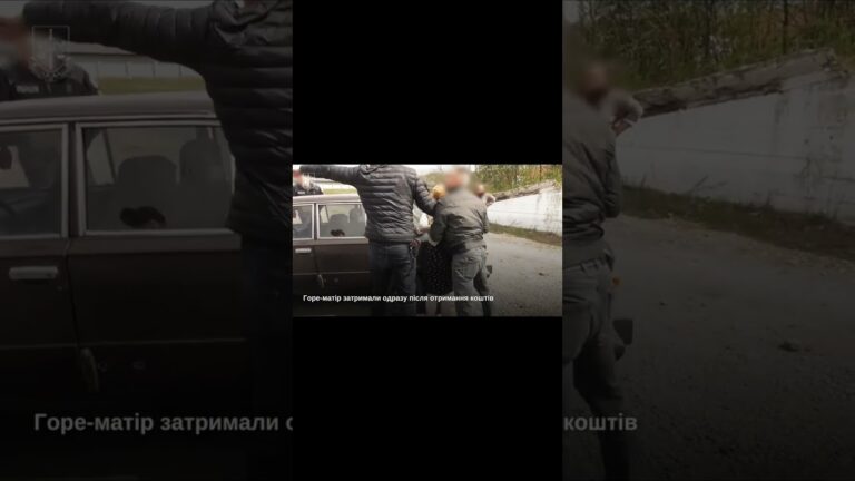 На Закарпатті жінку підозрюють у торгівлі власними дітьми