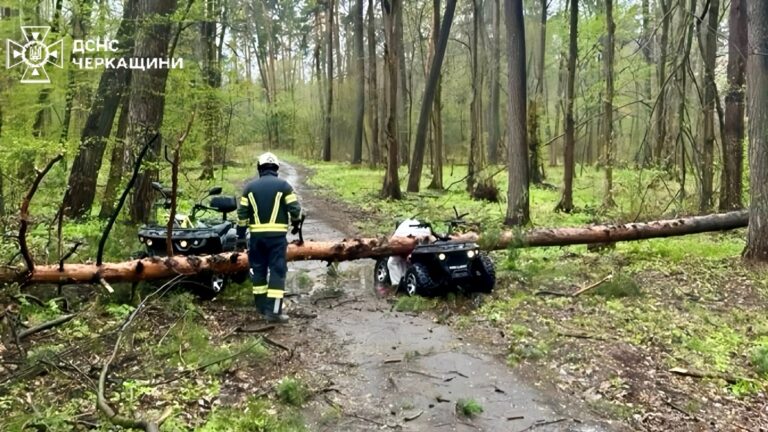 Загиблі та поранені: ДСНС показала наслідки стихії