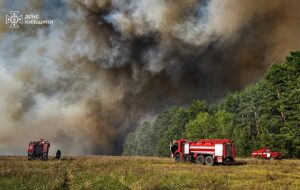 Площа пожежі в лісах Чернігівщини сягнула 5800 га