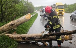 Повалені дерева перекрили траси: Україну накрила негода