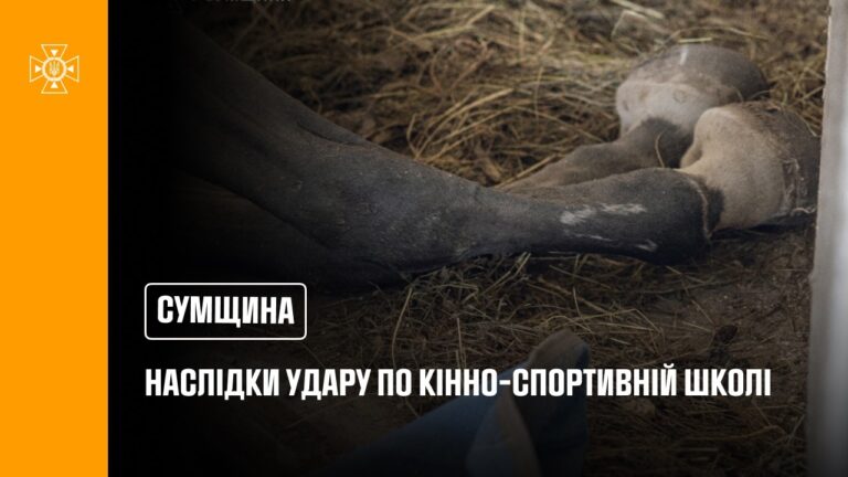 Суми: рятувальники ліквідували наслідки російського удару по території кінно-спортивної школи