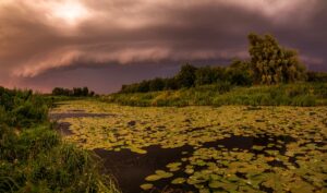 Грози та дощі прогнозують у більшості регіонів України