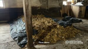 Від поля до «чорного» ринку: судитимуть групу осіб за постачання тютюну до підпільних цехів