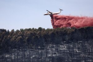 Франція мобілізувала авіафлот проти лісових пожеж