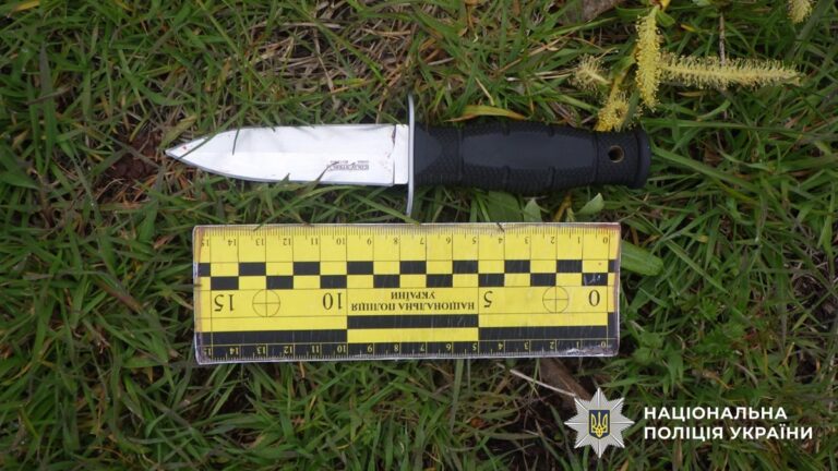 Киянину загрожує вісім років за ножовий напад у парку