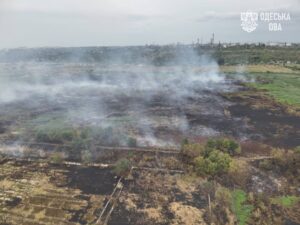 Під Одесою тліють 8 га очерету й трави