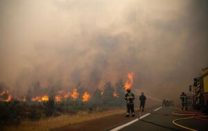 Пожежі у Франції: Макрон збирає екстрену нараду