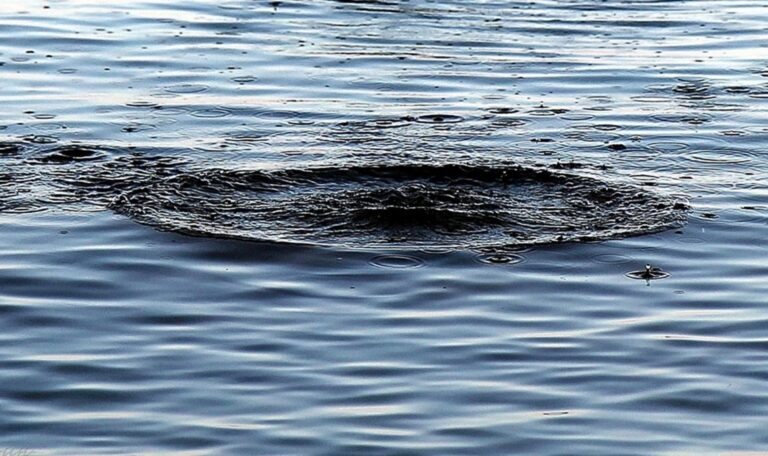 Троє дітей впали у воду на Харківщині: одна дитина загинула