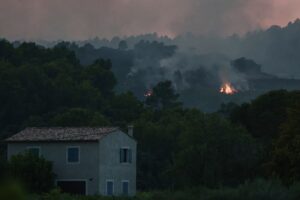 У Франції пожежі знищили 115 тисяч гектарів лісу