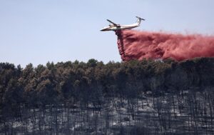 Україна відправляє у Францію 70 пожежників