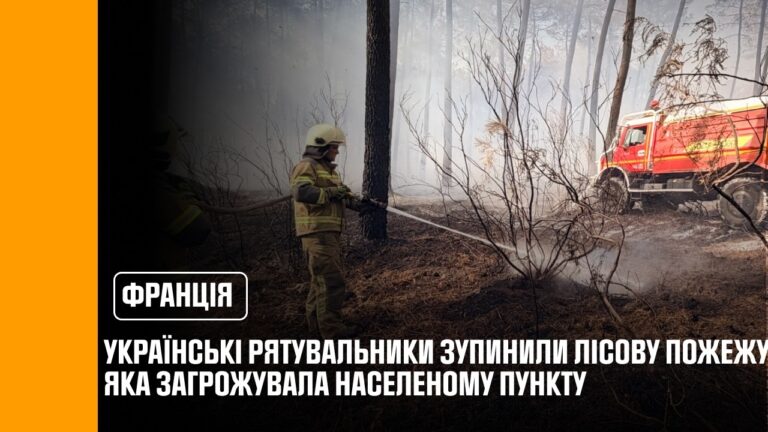Українські рятувальники у Франції зупинили лісову пожежу, яка загрожувала населеному пункту
