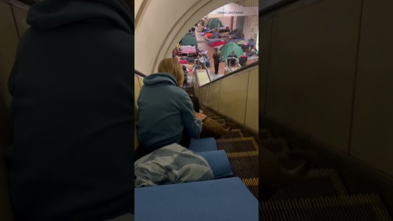 A dog with a girl sheltering from Russia’s overnight attack in Kyiv’s metro