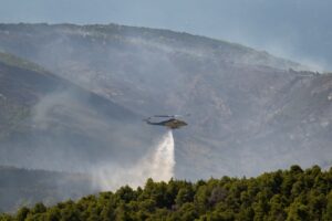 Біля Афін спалахнули лісові пожежі: є загиблі та постраждалі