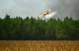 Франція затримала сотні підозрюваних через лісові пожежі