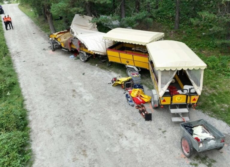 Кінний екіпаж потрапив в аварію у Швейцарії, є жертва