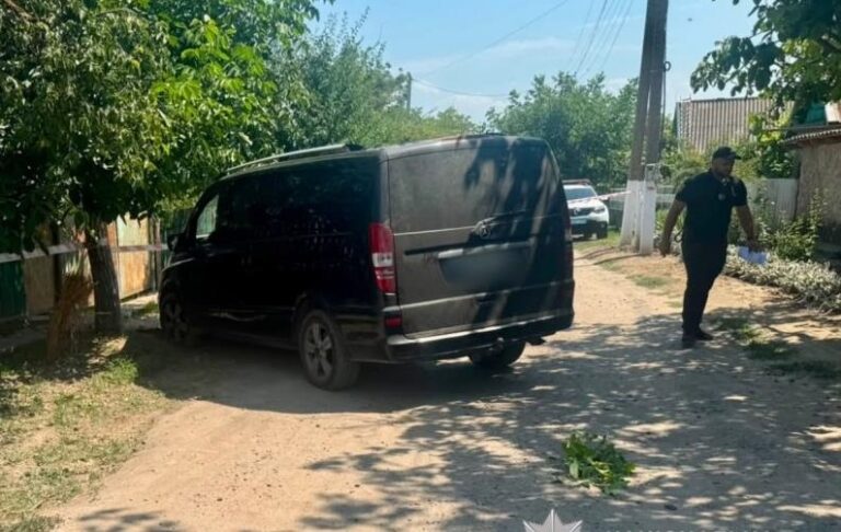 Мати на смерть збила однорічного сина на Одещині