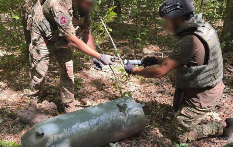 На Кіровоградщині знешкодили дві бойові частини російської ракети