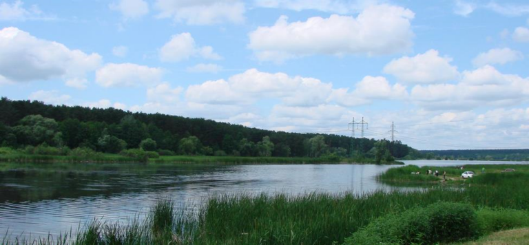 На Київщині попередили про забруднення водойм