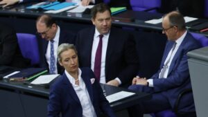 Рейтинг Мерца впав до нового мінімуму