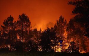 У Франції заарештували понад 400 людей за підозрою у підпалах лісів