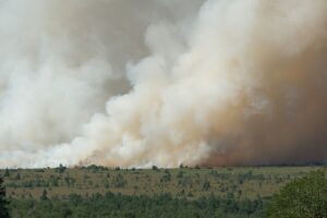Вогонь знищив тисячі гектарів заповідника у Бельгії